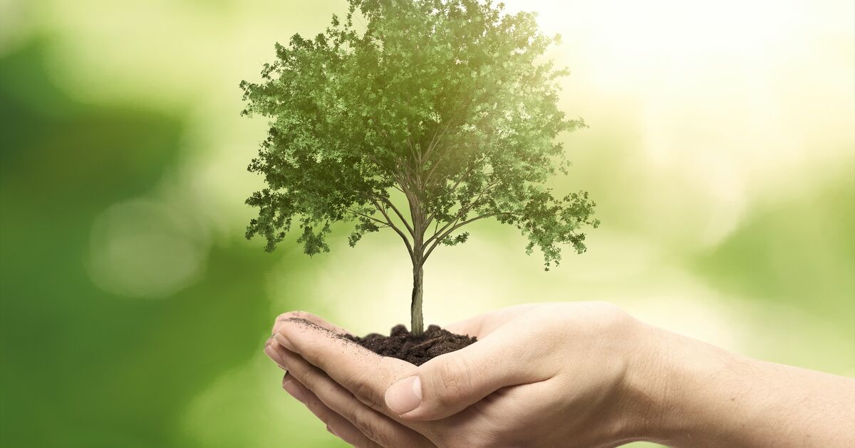 土壌・生態系のイメージ