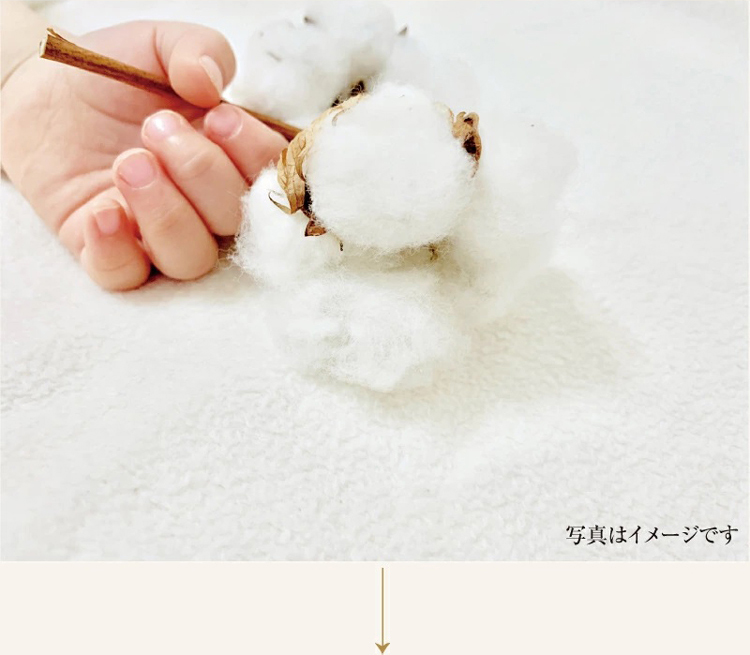 オーガニックコットンのイメージ