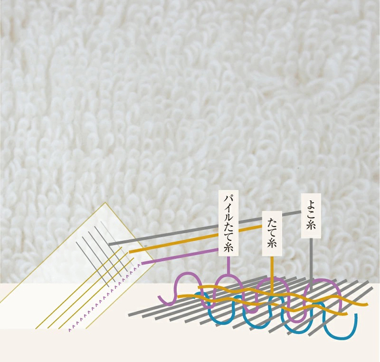 タオルを構成する、たて糸/よこ糸/パイルたて糸の図解