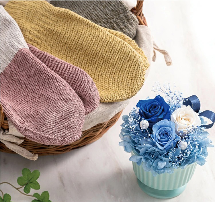 セットイメージ