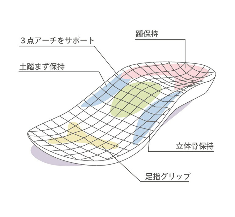 足裏の構造の詳細