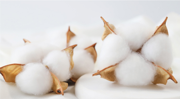 オーガニックコットン使用