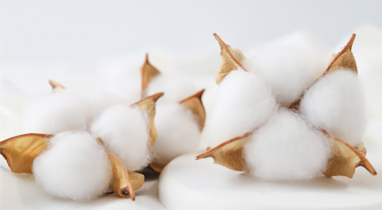 オーガニックコットン
