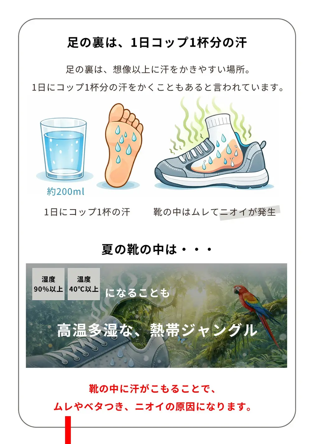 足の汗やムレに配慮した吸汗速乾ソックスの必要性を紹介する説明画像