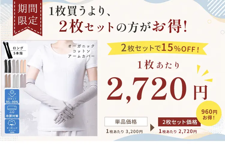 2枚セットがお得！