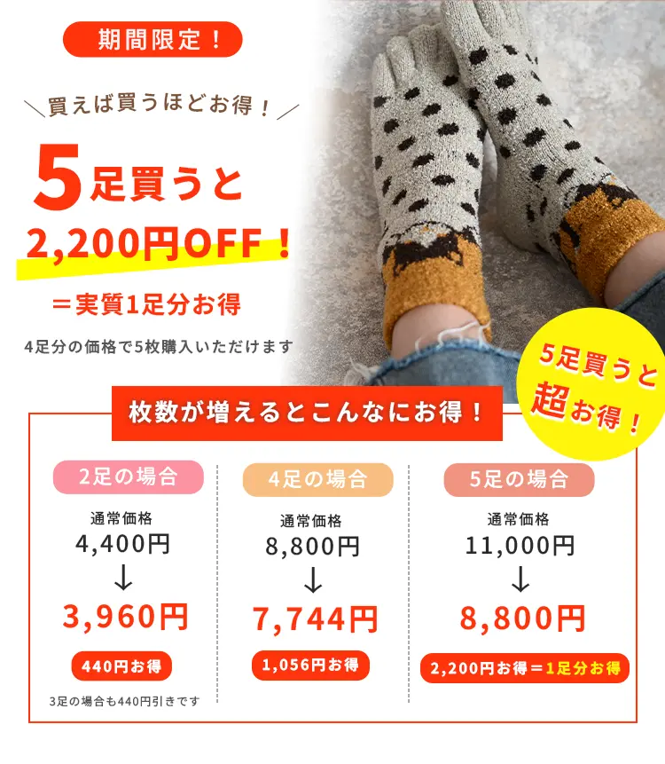 2足購入がお得！