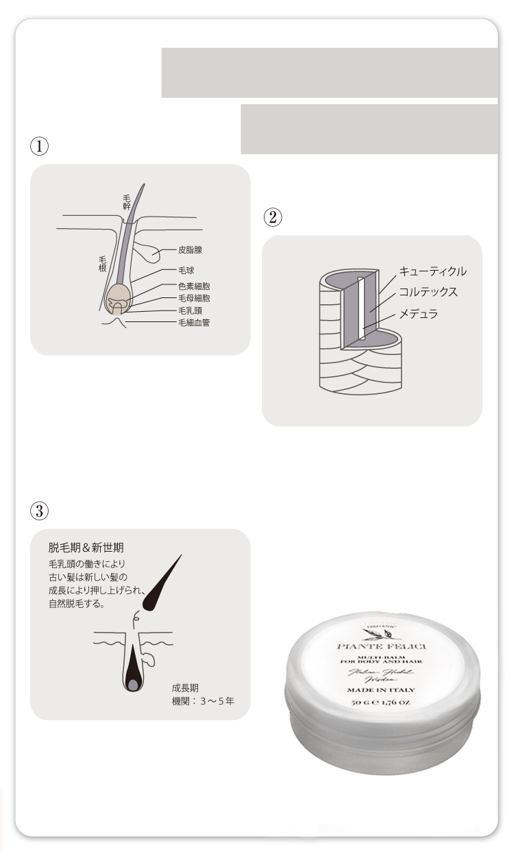 より健康な髪へのデイリーケア