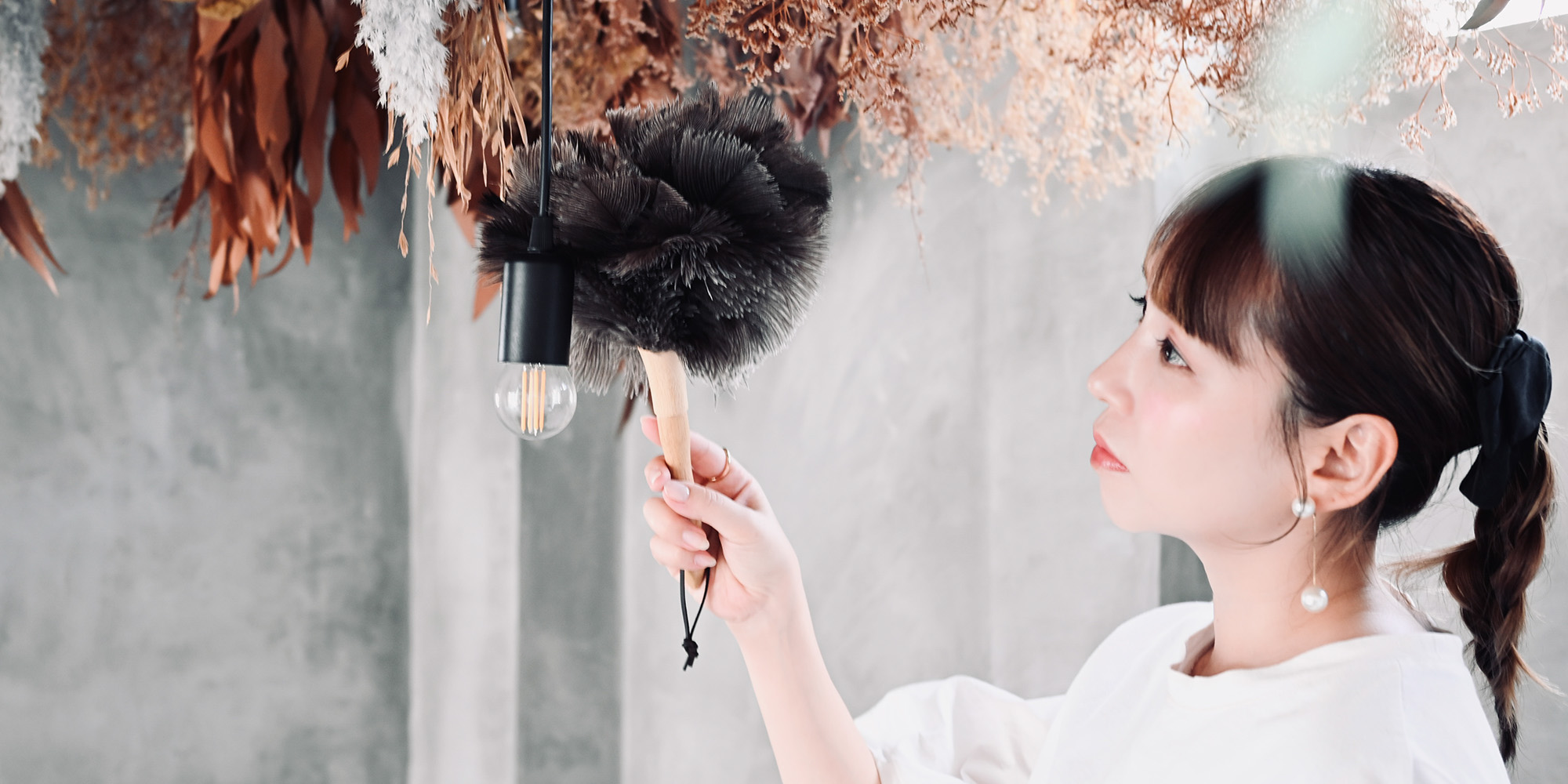 フェザーダスター メイン