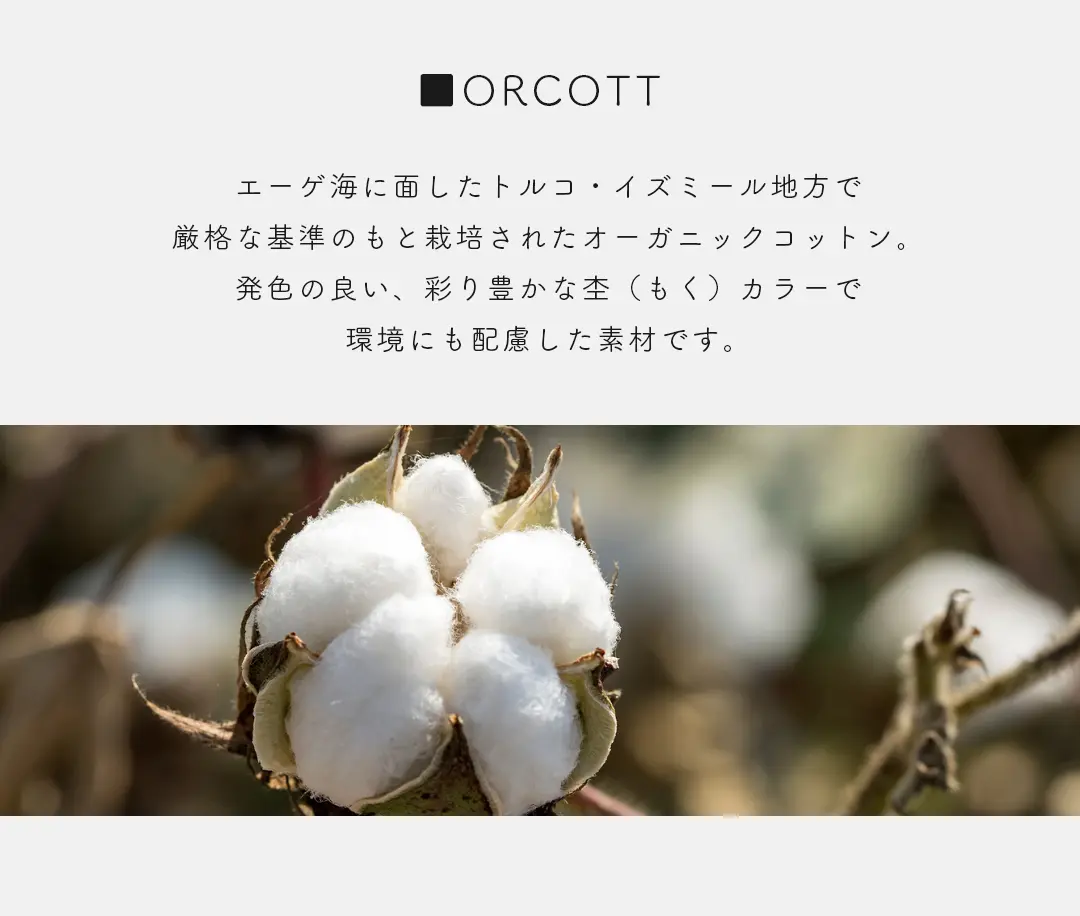トルコ産オーガニックコットンの綿花 自然素材のイメージ