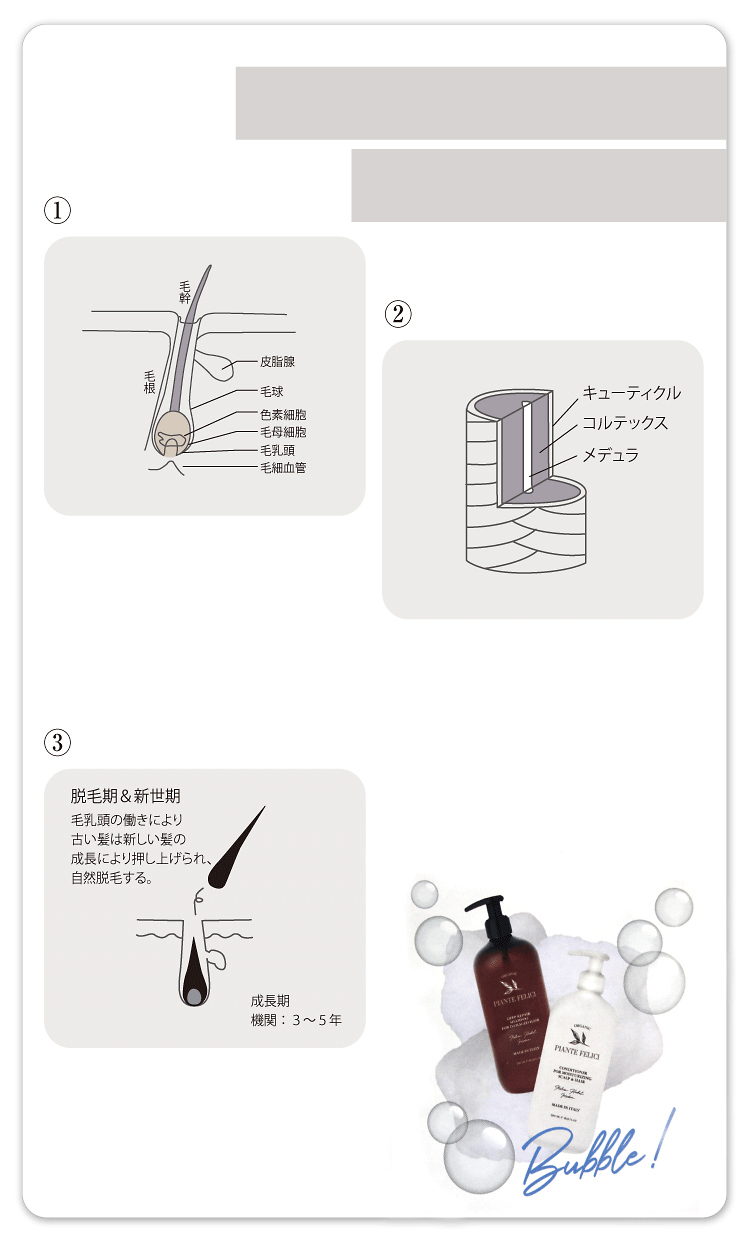 より健康な髪へのデイリーケア