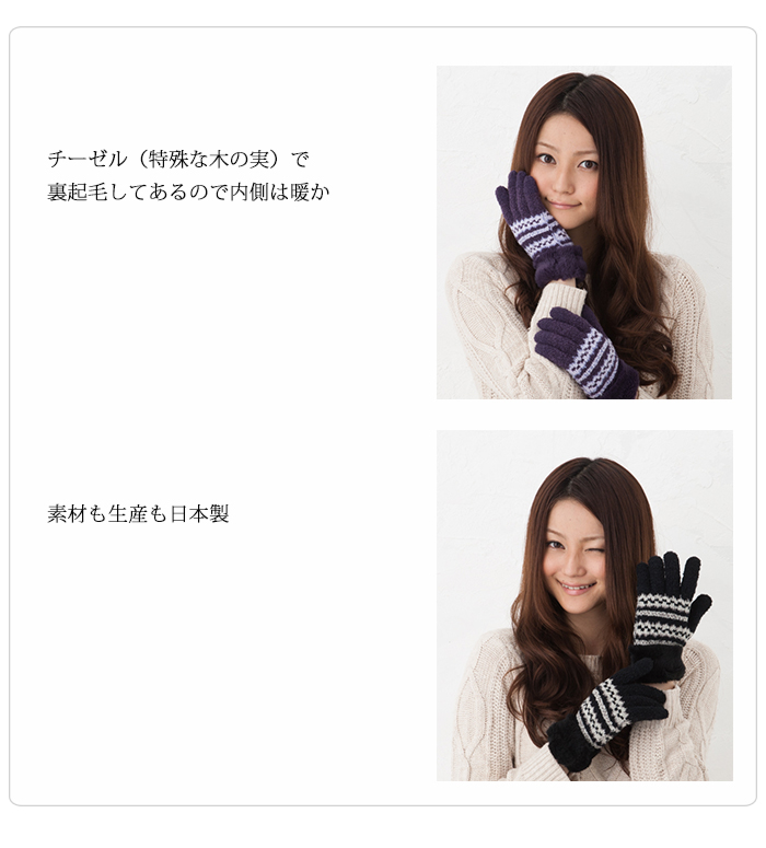 チーゼルで裏起毛　日本製""