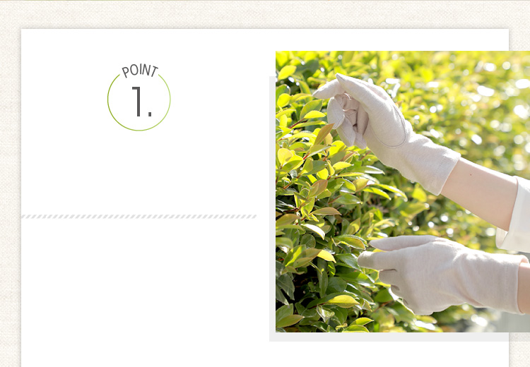 ポイント１　紫外線95～99％カット　保湿効果も抜群