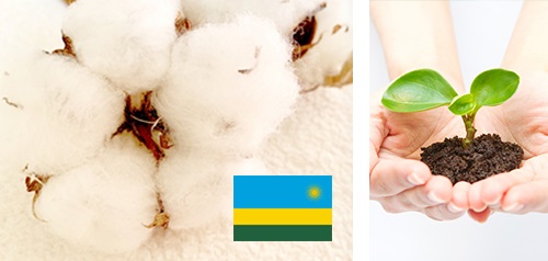 パーセントハンドタオル　オーガニックコットンイメージ画像