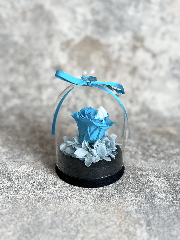 566-02-メイン画像