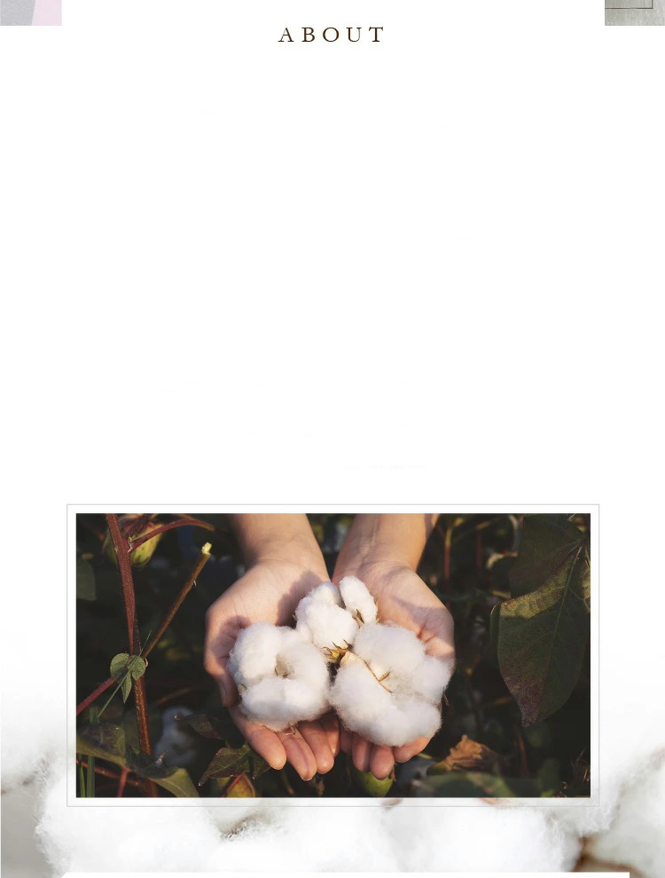 Glovesdepoのオーガニックコットンとは？