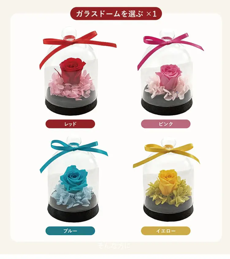 ガラスドームを選ぶ