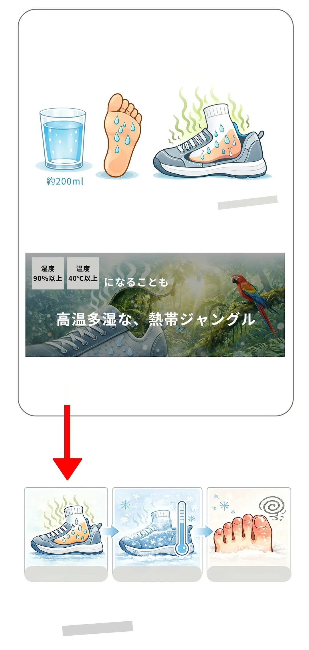 足の汗やムレに配慮した吸汗速乾ソックスの必要性を紹介する説明画像