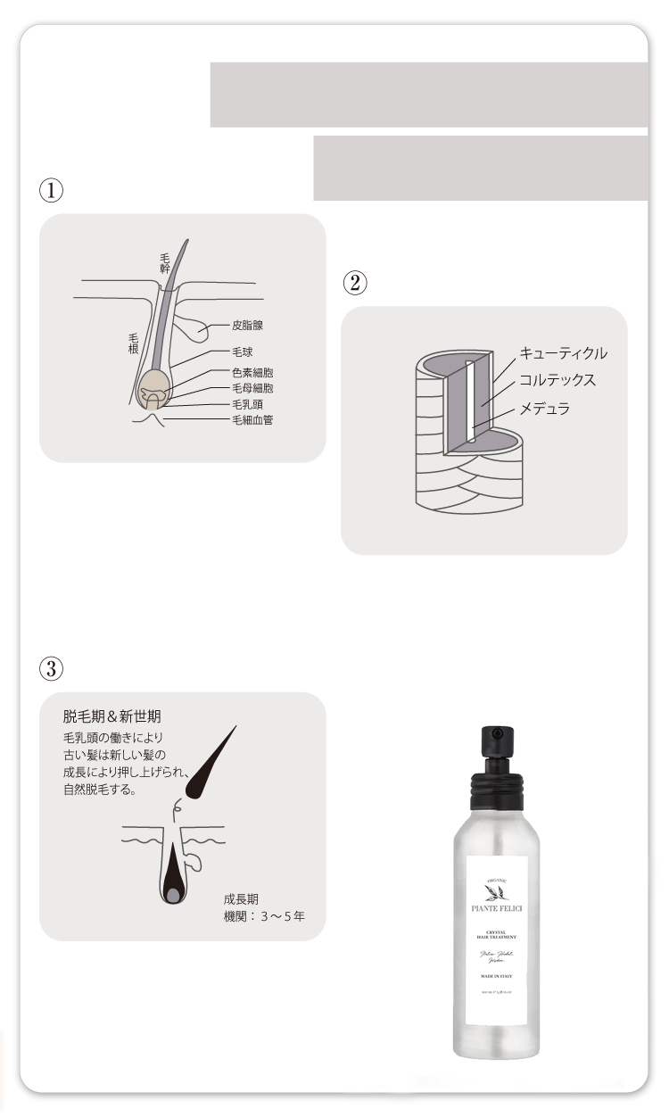 より健康な髪へのデイリーケア