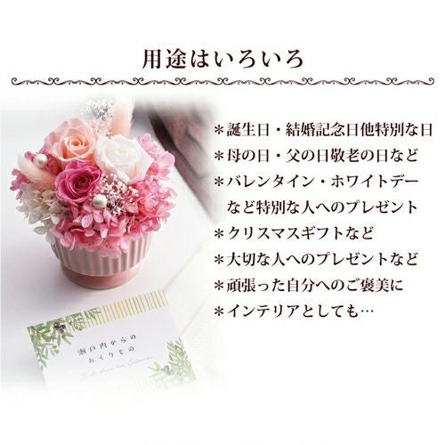 用途はいろいろ