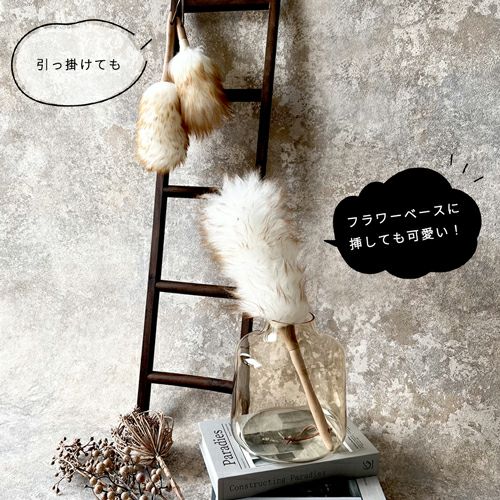 毛が細かいので小さなホコリも絡めとります