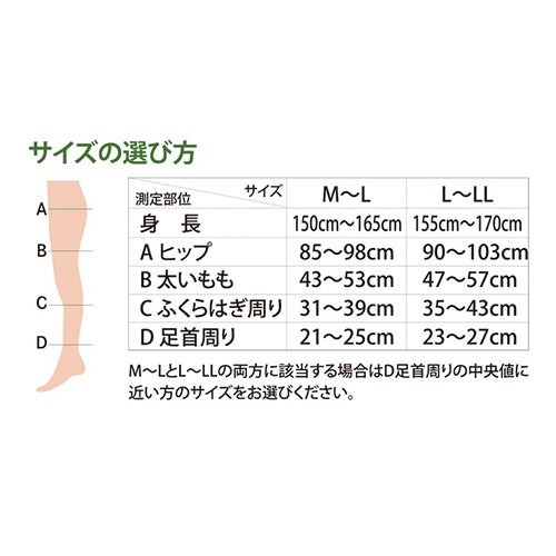 サイズ表