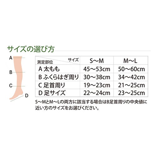 サイズ表